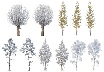 Wall Mural - 3d render trees and mountains during winter