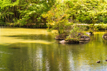 小野泉水公園(小野小町・ホタルの生息地)
Onono Sensui Park(Ono no Komachi/Firefly Habitat)
「平安時代の絶世の美女、小野小町が産湯を使ったと言い伝えられている小野泉水は、小町伝説の他にホタルの生息地としても親しまれている。」
日本
Japan
九州・熊本県熊本市
2022年