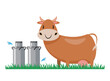 © santima.studio - cow with milk can cartoon character vector illustration