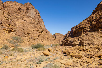 Wall Mural - Natural outcrop rock formations near the Al Sahary resort  in Al Ula, north west Saudi Arabia