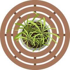 Wall Mural - top view round wooden outdoor bench with plant in pot furniture, for landscape design and green spac