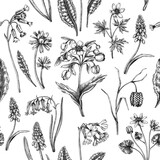 Fototapeta Storczyk - Hand-drawn wildflowers background design. Vintage woodland flowers sketches. Seamless spring pattern. Forest plant and wild flowers illustration cowslip, bluebell, grape hyacinth, hellebore backdrop