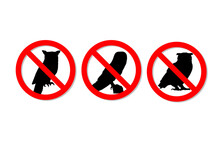 Warning Sign No Owls Vector Design