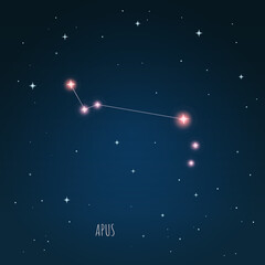 Wall Mural - constellation lacerta scheme in starry sky. open space. vector illustration, constellation through a