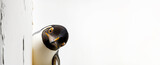 Curious penguin peeking around a corner against a white background created with Generative AI technology. Copy space.