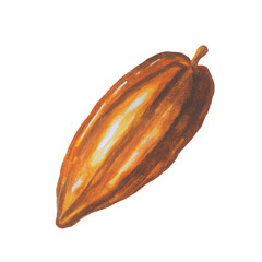 Wall Mural - Cocoa bean isolated on a white background. Hand drawn, watercolors. Primitive retro vintage style. Ai generative image