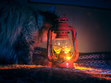 A Cute Tricolor Cat With A Red Oil Lamp. Beautiful Scenery Of An Animal And An Old Lantern.