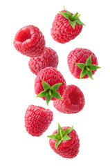 Poster - Various falling fresh ripe raspberries on white background