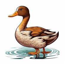  A Duck Standing In The Water On A White Background With A Reflection Of The Duck In The Water And The Duck Is Looking At The Camera, With A Duckling, Duckling,. , AI