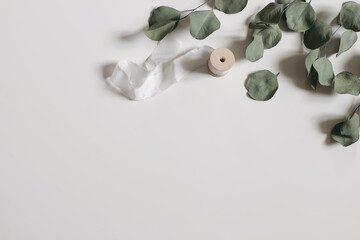 Wall Mural - Dry eucalyptus tree leaves, branches and silk ribbon isolated on white table background. Green trendy foliage. Minimal floral composition, decorative frame. Wedding flat lay, top view. Web banner.