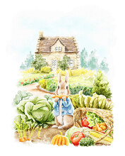 Watercolor Fantasy Cute Rabbit Peter In Blue Jacket Sit Among Vegetables And Eat Carrot In Garden Near House Isolated On White Background. Hand Drawn Illustration Sketch