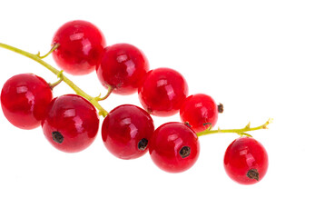 Wall Mural - currant isolated