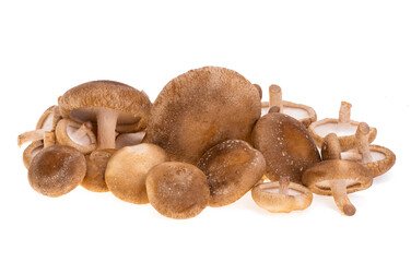 Sticker - shiitake mushrooms isolated