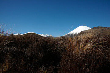 Sticker - Rolling landscape of alpine vegetation leading to conical volcanic cone of Mount Ngauruhoe