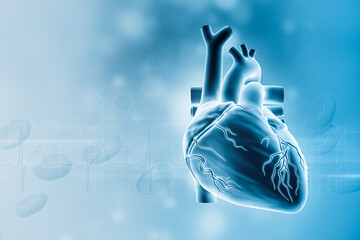 Wall Mural - human heart with blood vessels 3d rendering illustration with copy space. cardiovascular system, ana