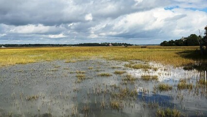 Wall Mural - Beautiful view of an island salt marsh wetlands with partly cloudy skies