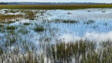 Beautiful View Of An Island Salt Marsh Wetlands With Partly Cloudy Skies
