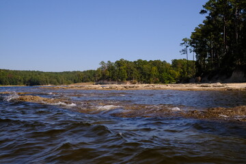 Wall Mural - Shore Waves at South Toledo Bend State Park in Louisiana