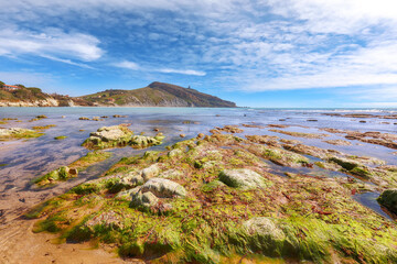 Wall Mural - Astonishing summer morning on the Giallonardo beach.