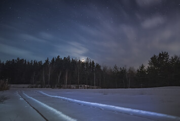Night winter landscape in a snowy forest with pines and firs, winter in a coniferous forest at night