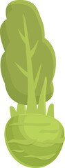 Poster - Kohlrabi icon cartoon vector. Healthy vegetable. Organic plant