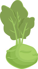 Poster - Garden kohlrabi icon cartoon vector. Healthy food. Nature design