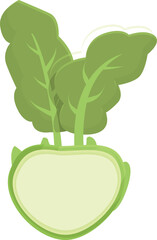 Poster - Green kohlrabi icon cartoon vector. Healthy food. Organic plant