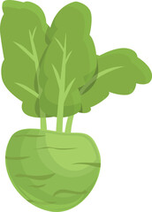 Poster - Cooking kohlrabi icon cartoon vector. Healthy food. Organic plant