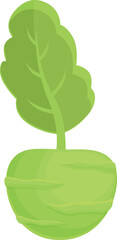 Poster - Eco kohlrabi icon cartoon vector. Healthy food. Organic plant