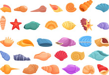 Conch Icons Set Cartoon Vector. Shell Beach. Seashell Nature