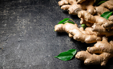 Poster - Fresh ginger root with leaves. 