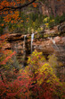 Fall Foliage with the Zion Waterfalls