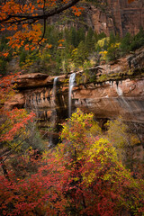 Wall Mural - Fall Foliage with the Zion Waterfalls