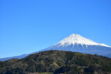 Fototapeta Sawanna - 富士川から眺める富士山の絶景
