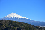 Fototapeta Sawanna - 富士川から眺める富士山の絶景