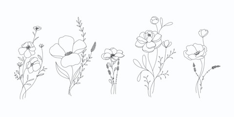 Wall Mural - minimal botanical graphic sketch line art drawing, trendy tiny tattoo design, floral elements vector illustration
