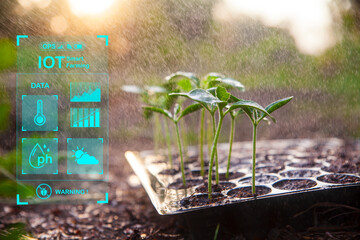 Young plant with cyber display of technological smart farming agriculture.