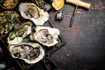 Sticker - Raw oysters with ice on an cutting board. 