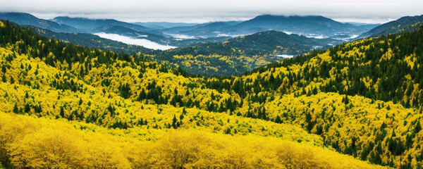 Wall Mural - landscape with yellow field