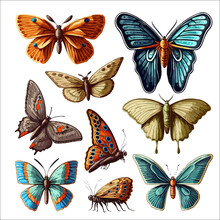 Realistic Butterflies Set. Flying Insects, Delicate Moths Species With Multicolored Wings Collection. Isolated On Background. Vector Illustration