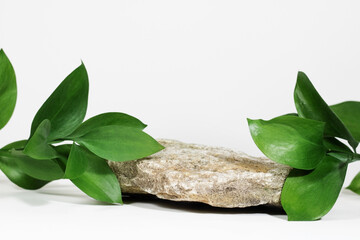 Wall Mural - creative layout of colorful riskus leaves on a white background in the rays of the sun, with shadows