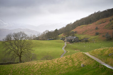 Wall Mural - The narrow road, track, that leads to High Skelghyll Farm on a cold winters morning in the Lake District Cumbrian Mountains, England, UK.