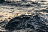 Fototapeta Konie - imagen de las formas efímeras que crea el mar con sus olas 