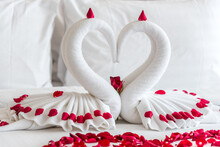Honeymoon Bed With White Two Towel Swans And Red Rose On Bed In Honey Moon Suit Bedroom In Hotel. In Valentine Day All Honeymoon Symbol Is Heart.