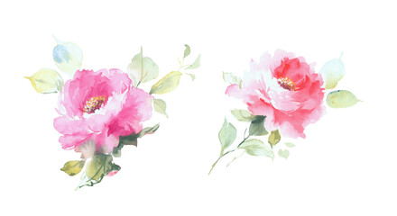  watercolor flowers