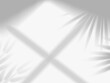 © designer_things - Shadow mockup. Sunlight overlay effect from window frames and tropical plant branch, palm tree leaves on room wall, ceiling or floor. Realistic background. Vector illustration