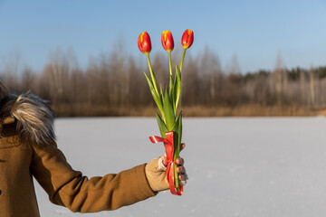 A girl in a brown coat holds three tulips in her hand. A man stands in the snow against the backdrop of a forest