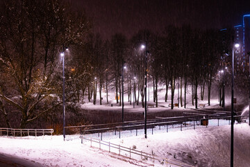 Wall Mural - Winter park in the evening covered with snow with a row of lamps