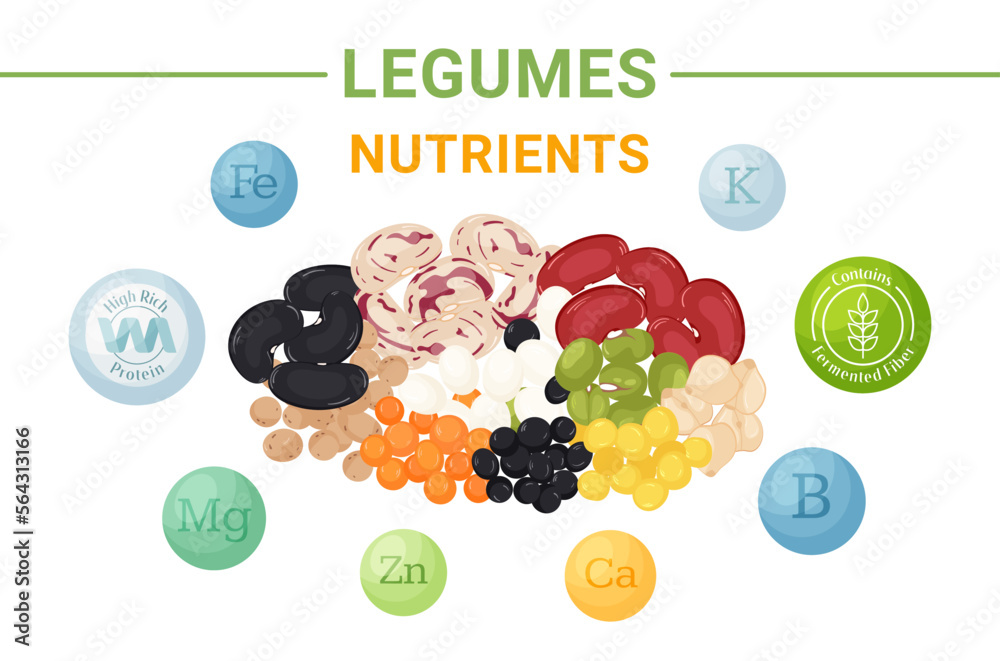 Legumes with high nutritional value banner concept. Fermented fiber ...