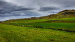 Green landscape in Iceland on cloudy day 
